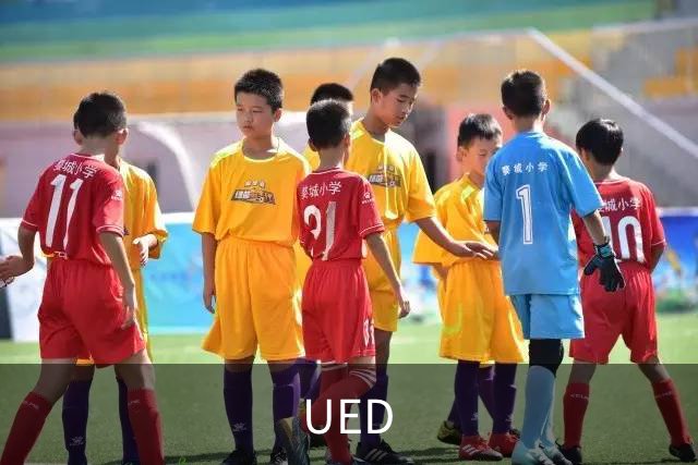 UED 公司简介